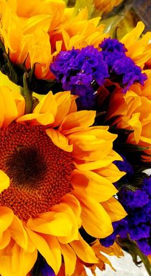 Very early spring bouquets