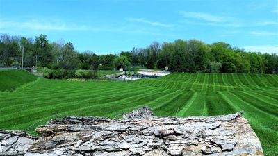 Freshly Mowed