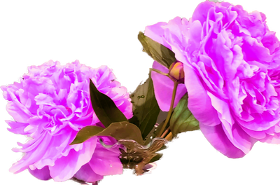 Pretty in Pink
