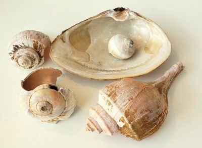 Beachfinds Second Day