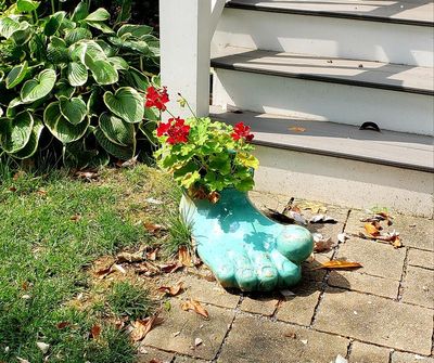 If the shoe fits, you can even use it as a planter.