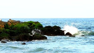 Rough surf around a jetty