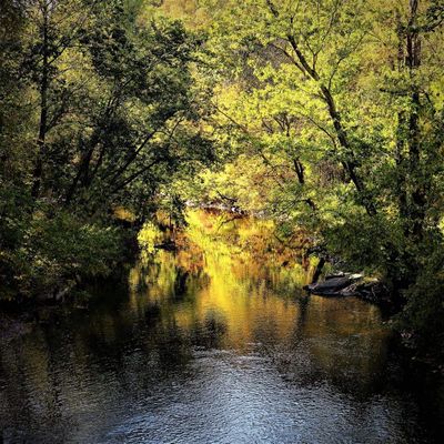 Paulinskill Trail in the Fall