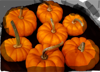 A plateful of pumpkins too pretty to eat
