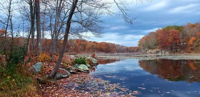 Johndons Lake - Where we live