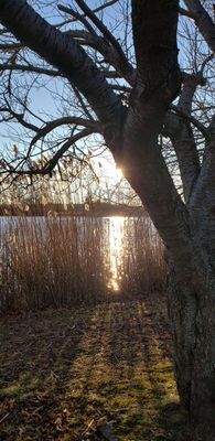 Cold and windy late fall days.