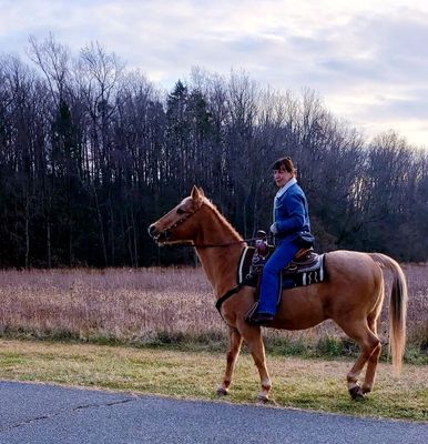 Second day of Christmas - great time to take your horse out for a ride.