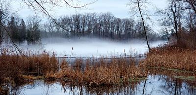 Ground fog is rolling in.