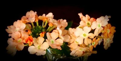 Little treasures