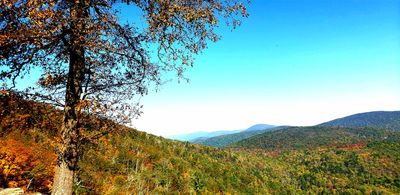 skyline_drive_blue_ridge_parkway_great_smokies