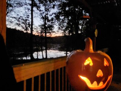 View from the back deck.