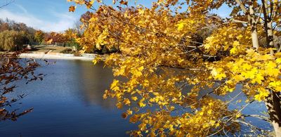 Lake Paulinskill Fall Walk