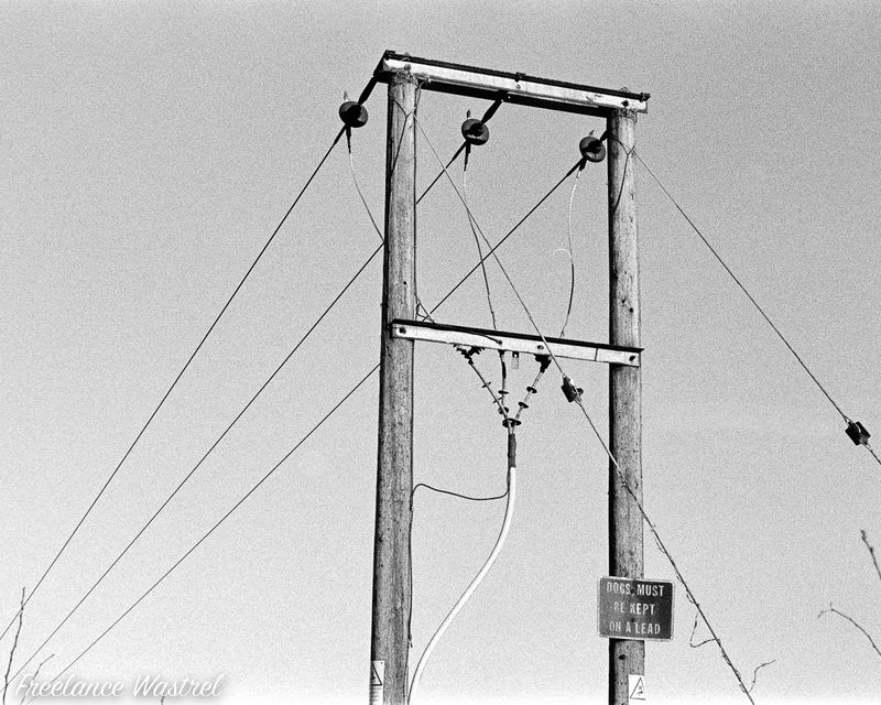 Dogs Must Be Kept On A Lead