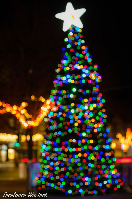 Heanor Christmas Tree, 2022