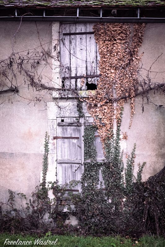 Overgrown, la Nivre, 2016