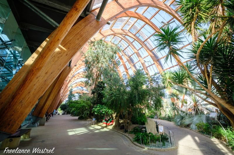 Sheffield Winter Garden