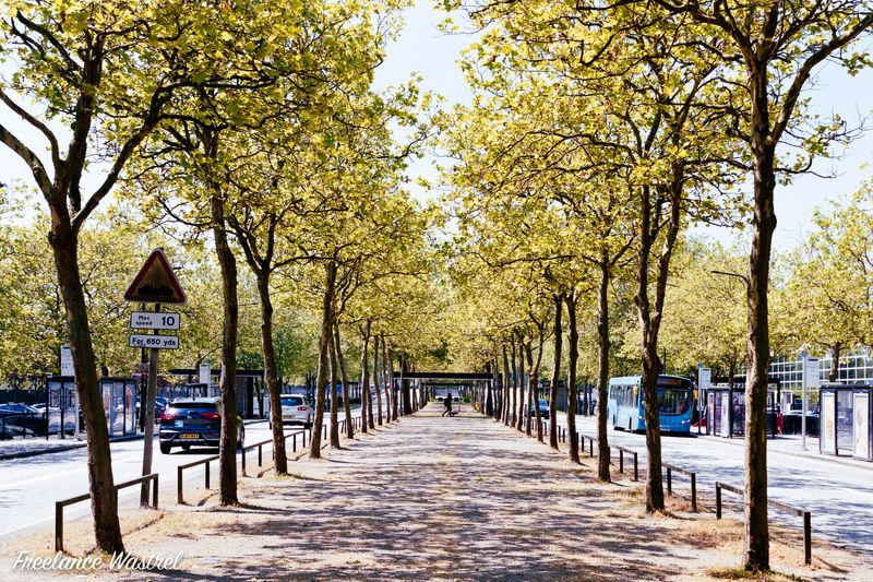 Midsummer Boulevard, Milton Keynes