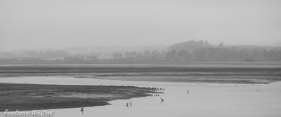 Montrose Basin, October 2022