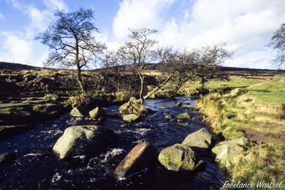 Burbage Brook, January 2001
