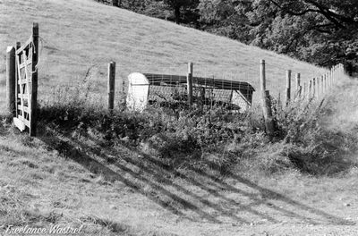 Field gate shadow, Coniston