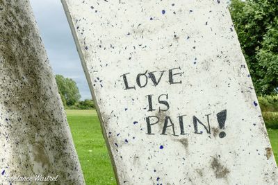 Love Is Pain!