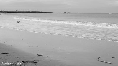 St Mary's Lighthouse, Whitley Bay, February 2024