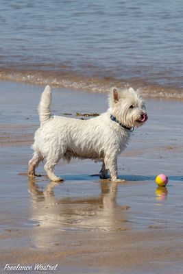 'Play with me'
