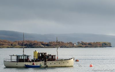Sound of Mull, October 2024