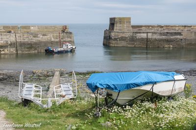 Craster harbour-20200807a