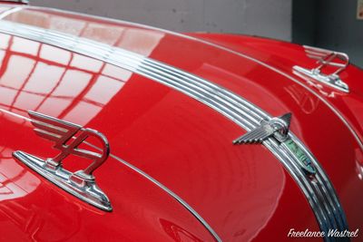 freelance_wastrel_2025