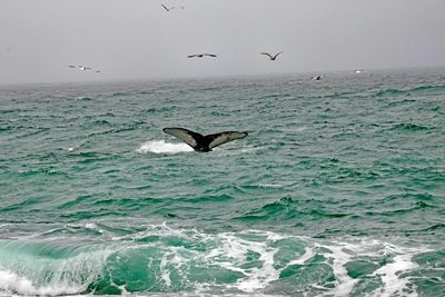 IMG_6081.jpg
