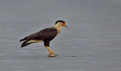 BD240405_37.jpg