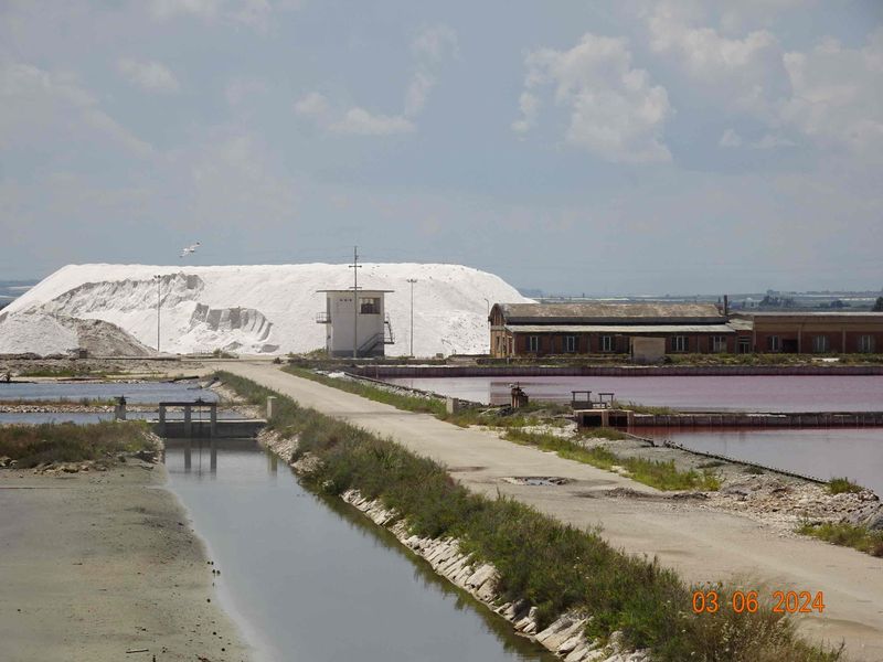 Margherita di Savoia