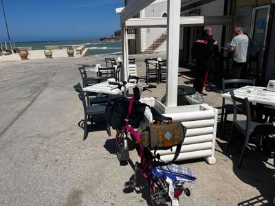 Montalbano and the missing pink Brompton