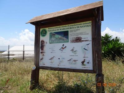 Saltmarsh