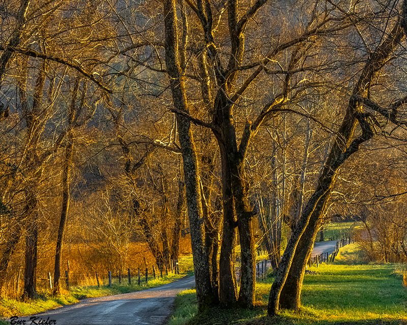 Sparks Lane at Abrams Creek 