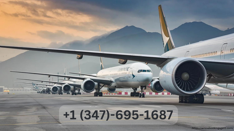 #Airlines Booking Agent - +1 (347)-695-1687 - 1