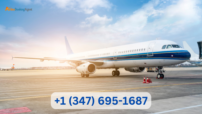 #Airline Booking Agent +1 (347) 695-1687  - 1