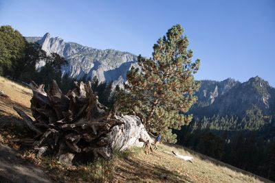 yosemite valley