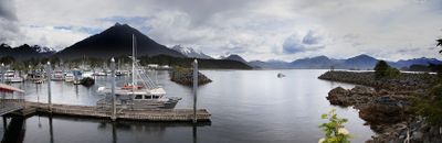 sitka