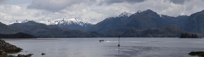 sitka
