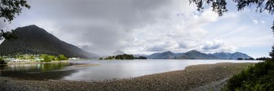 sitka