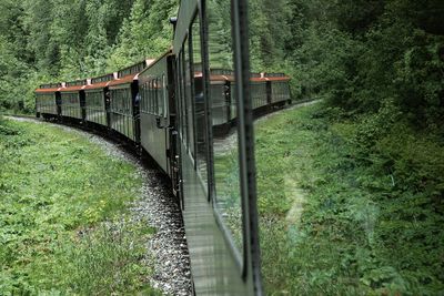 skagway, train to summit