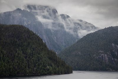 g13/42/626842/3/174758309.2f6aa805.JPEG