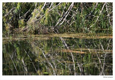 Reflet 93