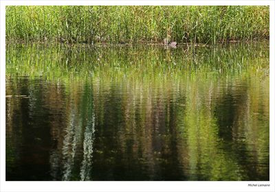 Etang 21