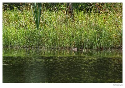 Etang 23