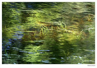 Flottantes 15