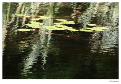 Reflet 94