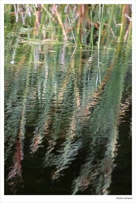 Reflet 95